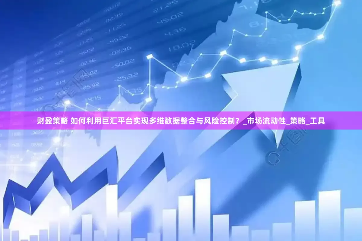 财盈策略 如何利用巨汇平台实现多维数据整合与风险控制？_市场流动性_策略_工具