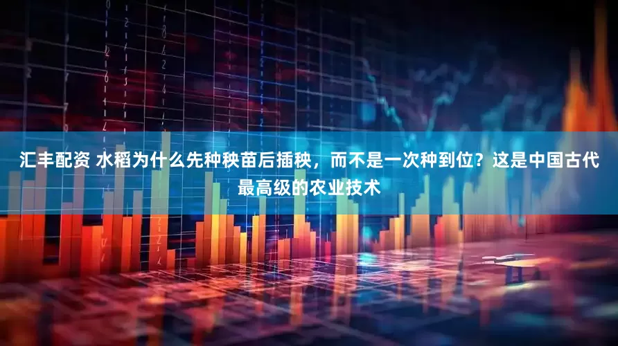 汇丰配资 水稻为什么先种秧苗后插秧，而不是一次种到位？这是中国古代最高级的农业技术