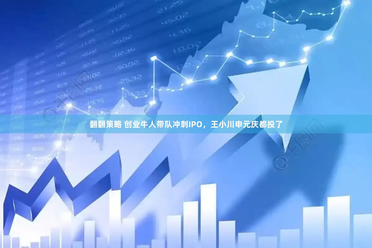 翻翻策略 创业牛人带队冲刺IPO，王小川申元庆都投了