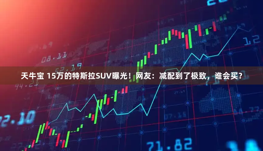 天牛宝 15万的特斯拉SUV曝光！网友：减配到了极致，谁会买？