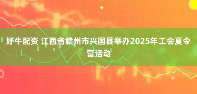 好牛配资 江西省赣州市兴国县举办2025年工会夏令营活动